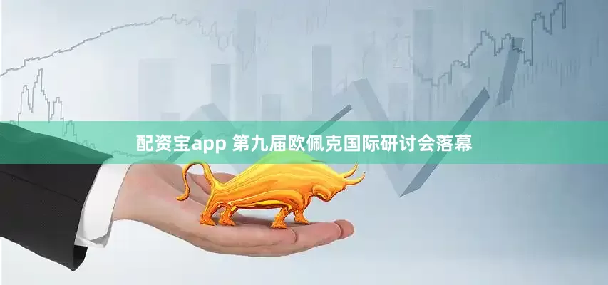 配资宝app 第九届欧佩克国际研讨会落幕