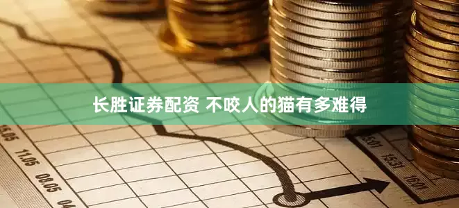 长胜证券配资 不咬人的猫有多难得
