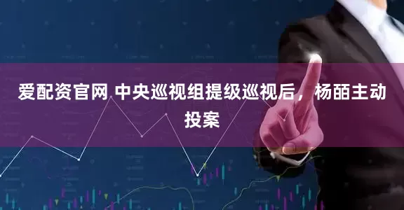 爱配资官网 中央巡视组提级巡视后，杨皕主动投案